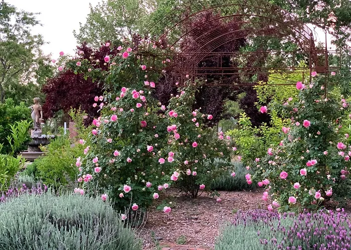 Bed and Breakfast Napa Farmhouse Inn